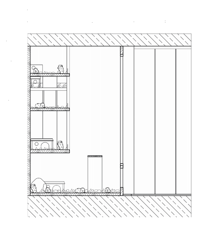 Floorplan 4