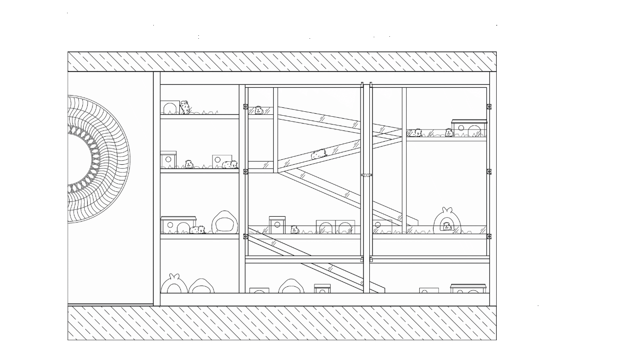 Floorplan 5